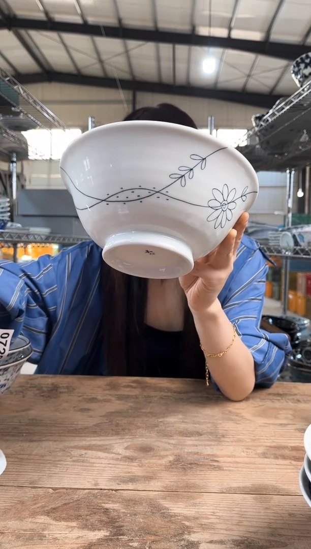 瓷片           729号19*8