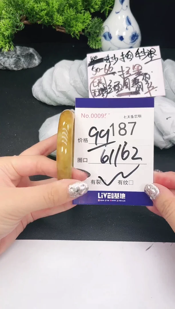 未镶嵌手镯翡翠187