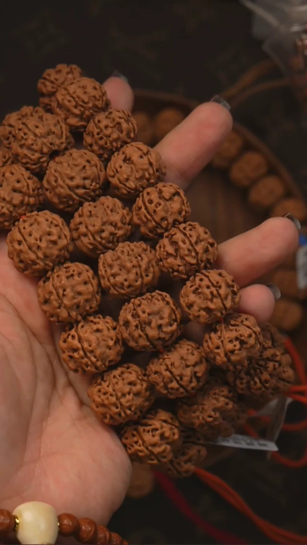 手串金刚菩提S23钢铁龙王