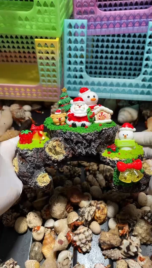 陌派帝国寄居蟹333躲避