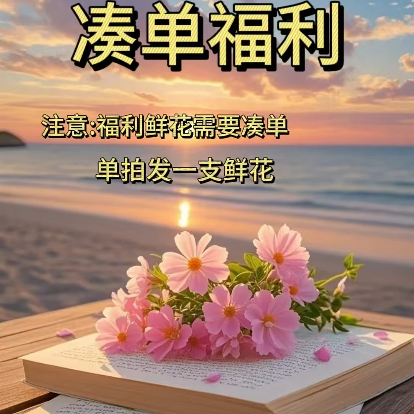 福利鲜花（注意：需与其他花花一起下单哦！！！（单拍发一支花花！！）