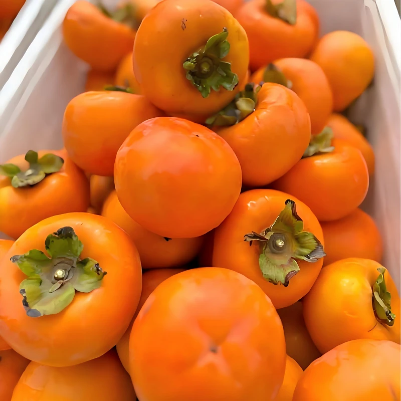 富友脆柿富有脆柿次郎脆柿冰糖心清甜可口新鲜采摘当季水果