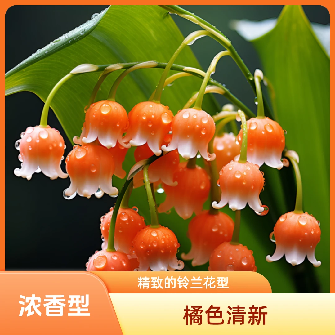 香水铃兰花带根带芽四季开花浓香大花型新手好养花卉绿植盆栽花苗