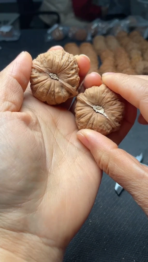 把件文玩核桃w15   南瓜墩 40尺