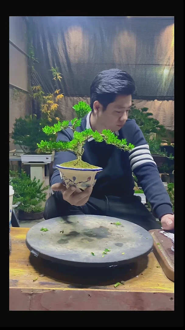 完全开放K**哥0000000