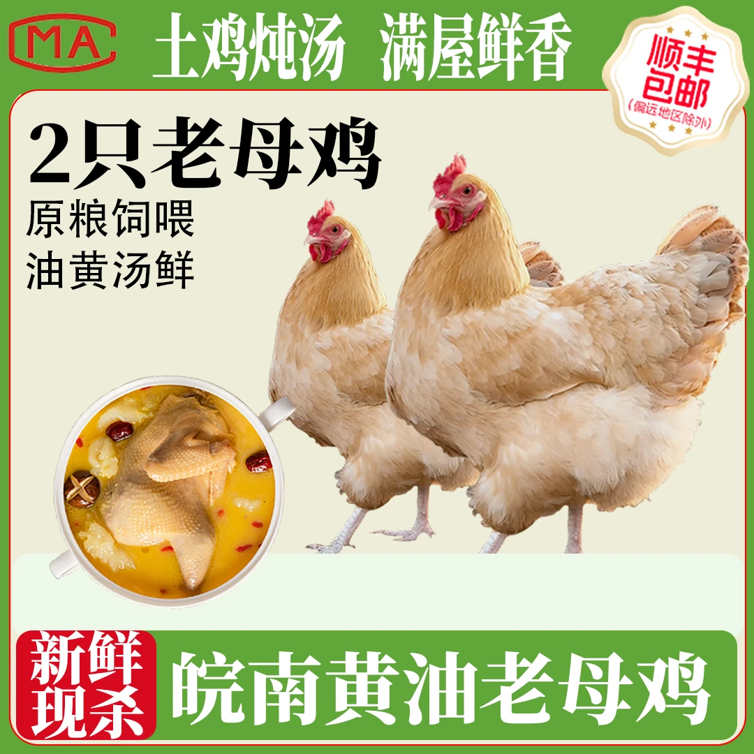 【两只老母鸡】正宗竹林散养土鸡煲汤鲜美 包冰率不含冰鸡肉同城送