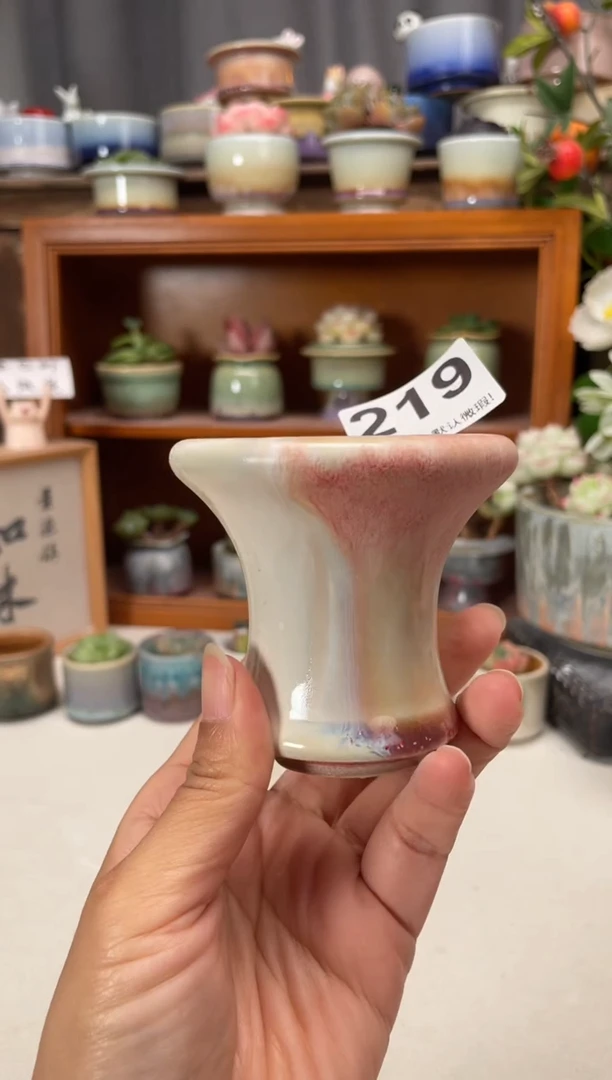 瓷片219知木小芳花盆直播编号
