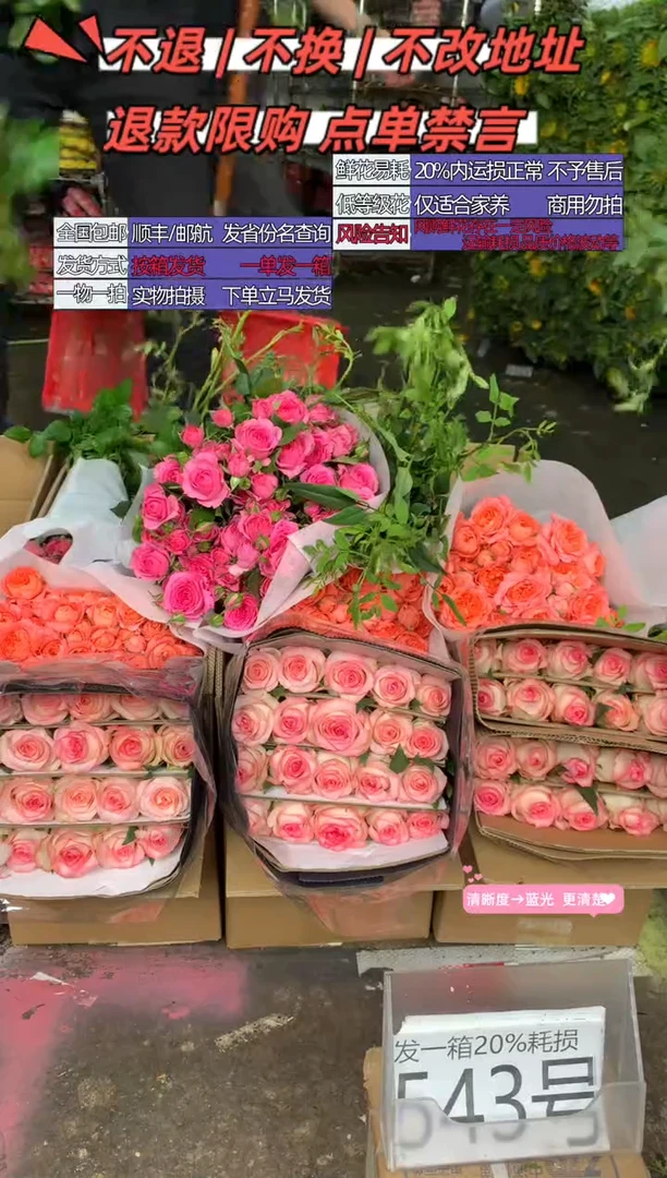 543号♥含20%耗损发一箱