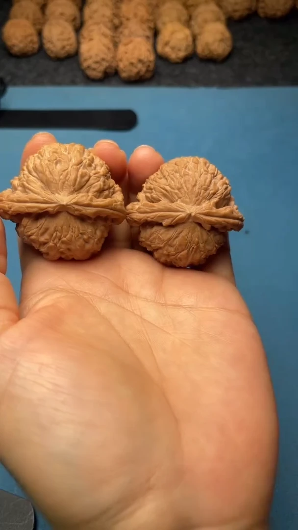 桃核把件w30  白狮子 43尺