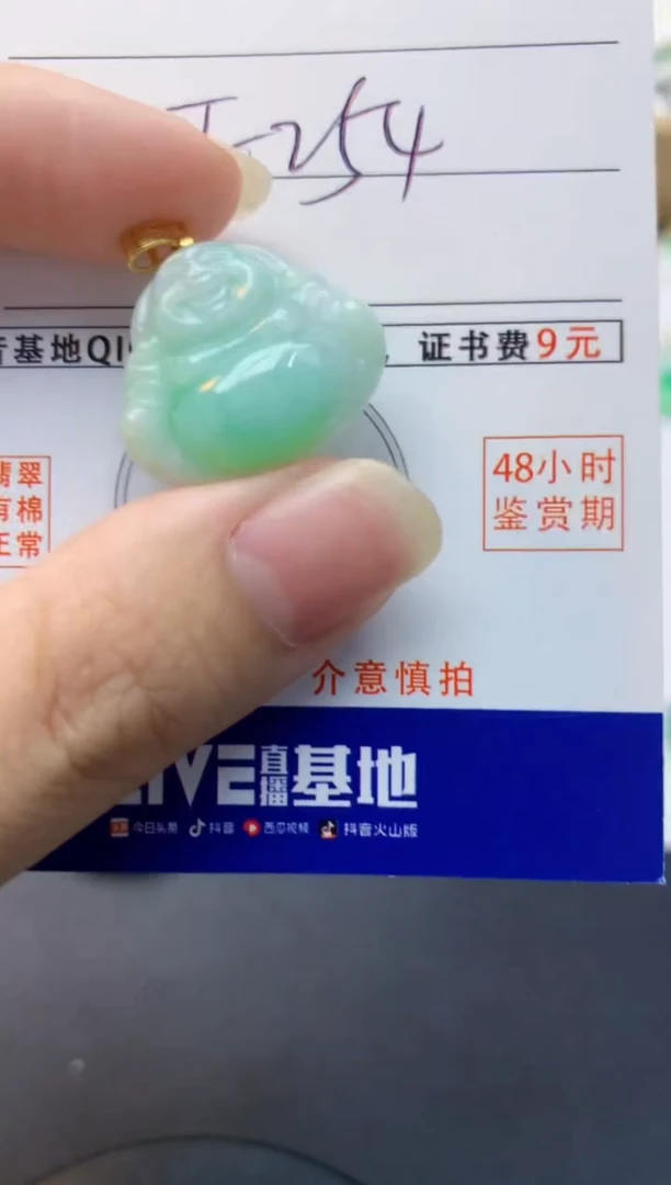 颈饰未镶嵌翡翠天然缅甸A货翡翠百元以上9元证书费自理