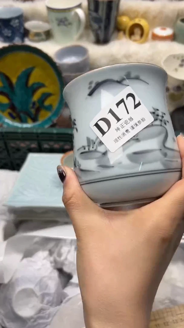 【闪购商品】瓷片          D172