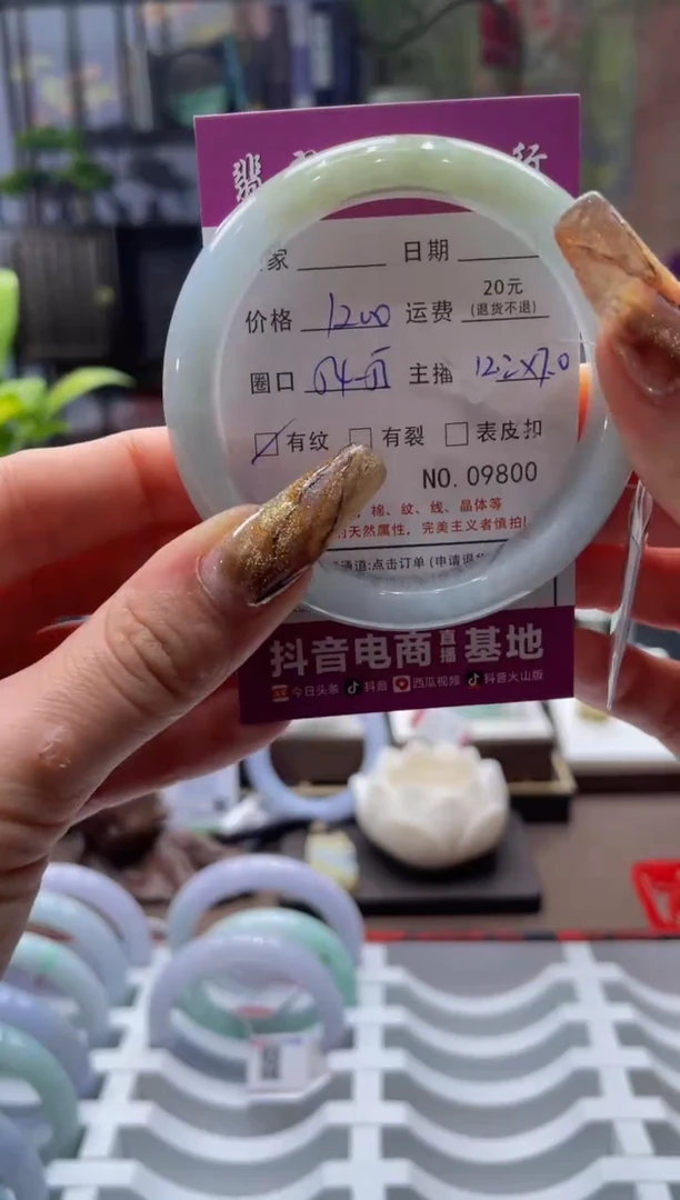 未镶嵌手镯翡翠9800****