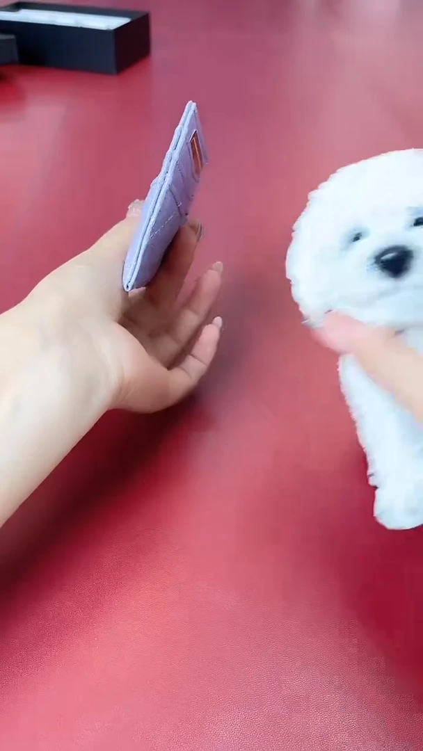 瓷片别算了真划算@@XQ2800