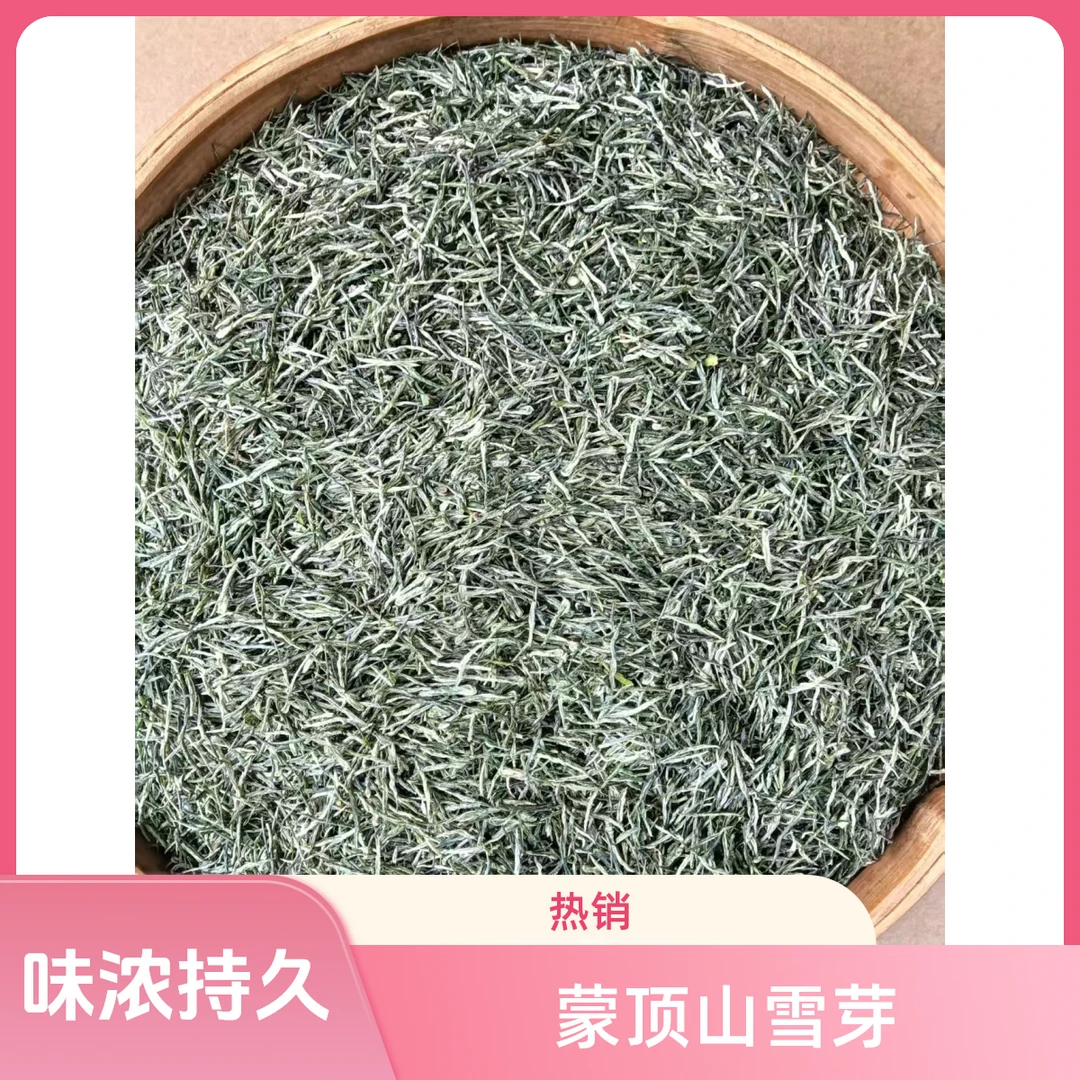 2025年蒙顶山新茶耐泡品质绿茶雪芽250g礼品盒装