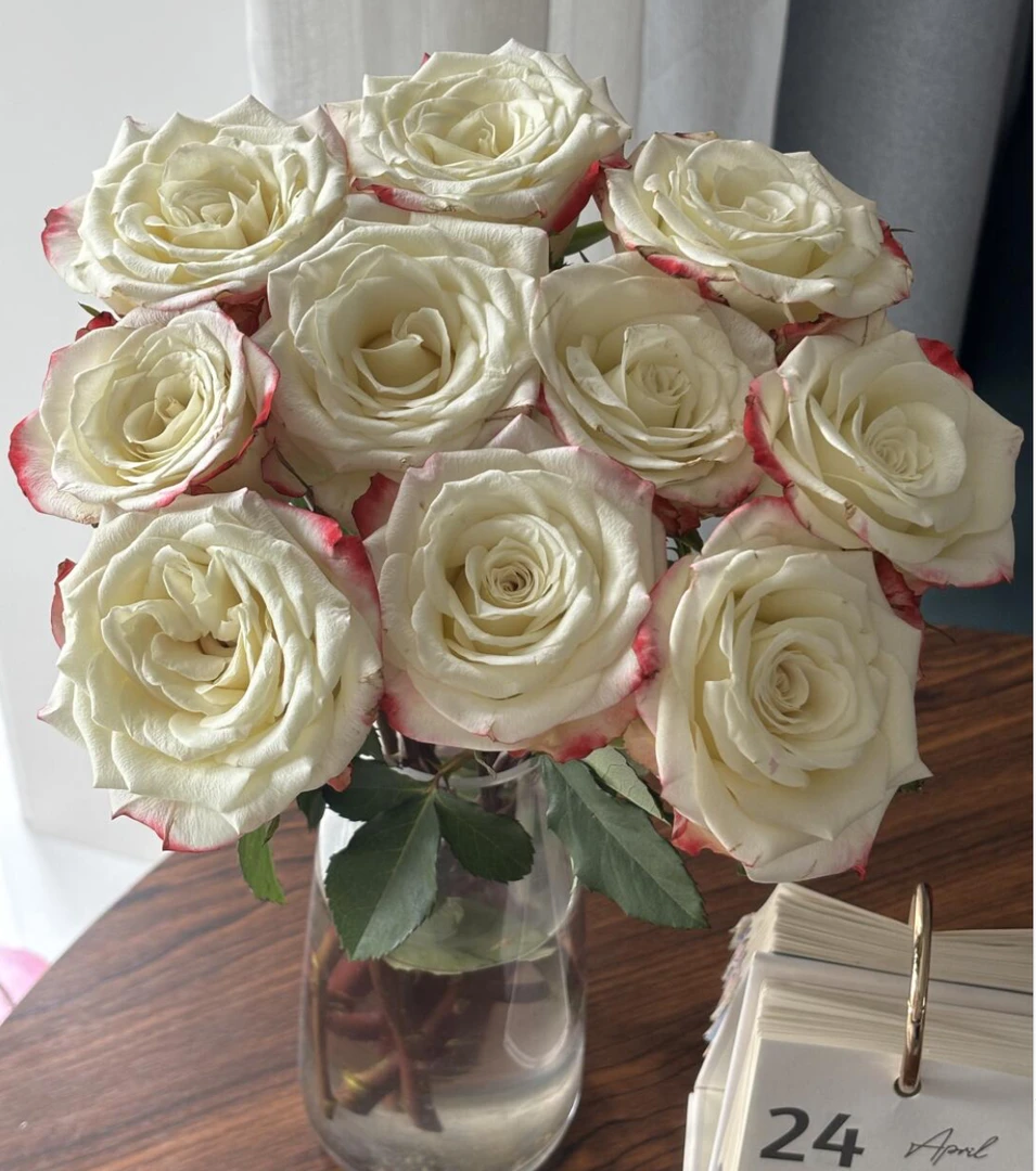 【大聪明卖花】艾立森玫瑰花客厅高级感插花鲜花云南鲜花昆明直发