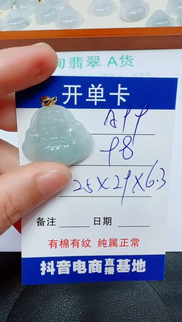 翡翠未镶嵌吊坠(赠链)A99