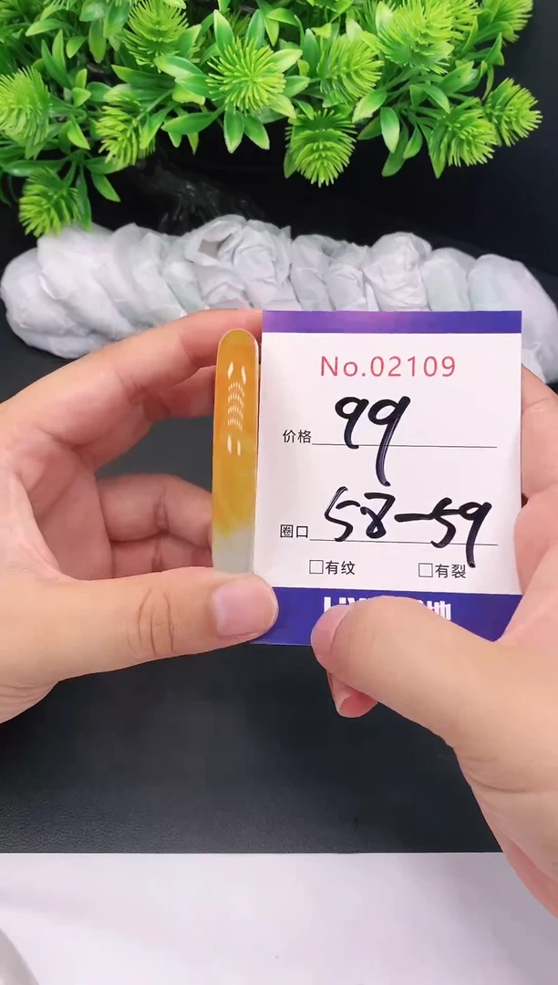 未镶嵌手镯翡翠2109