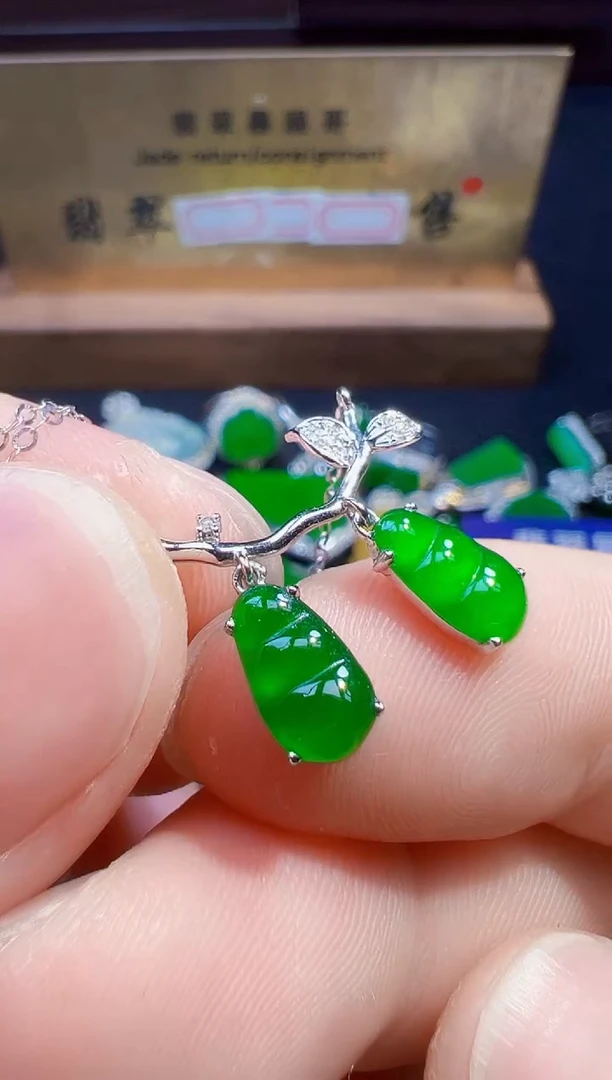 翡翠18K金镶嵌颈饰-****u翡翠