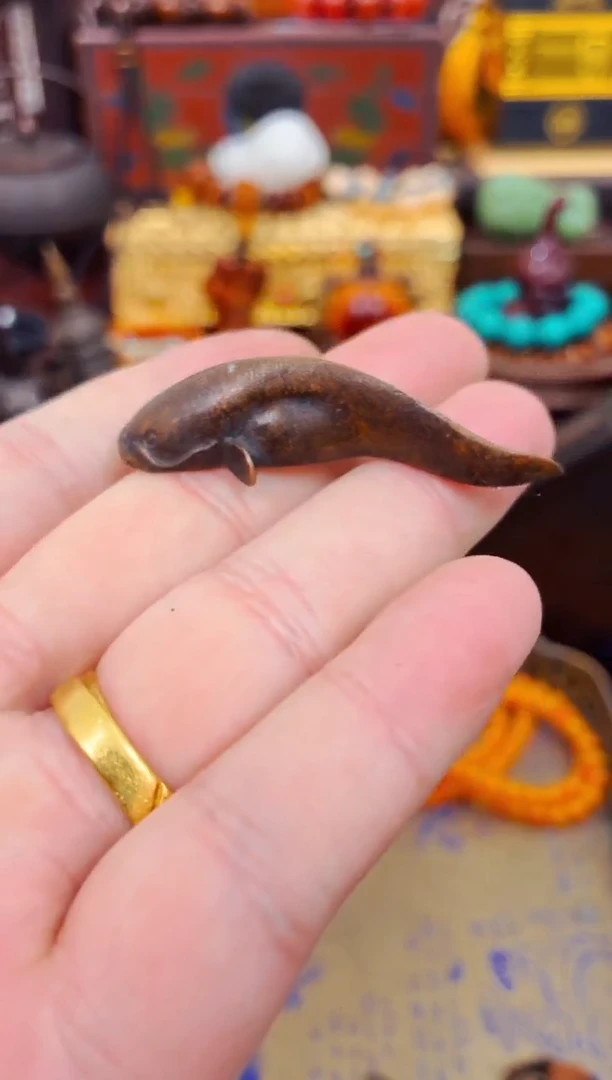 精品精品精品精品