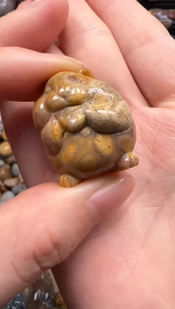 【闪购商品】硅化珊瑚（珊瑚玉）颈饰未镶嵌646