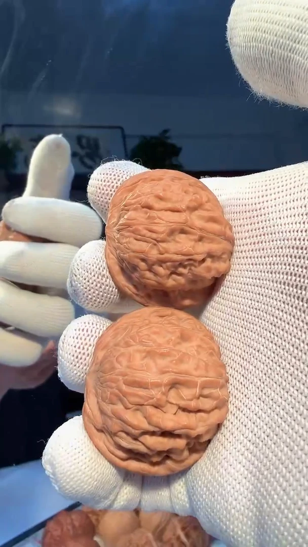 大叶紫檀（黑酸枝木类）016 磨盘38-40