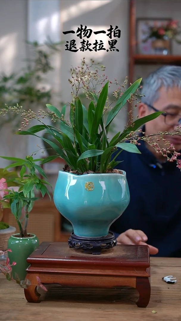 完全开放佳文心兰147