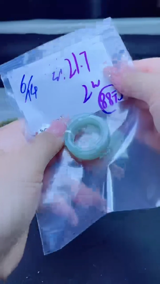 翡翠未镶嵌颈饰戒圈