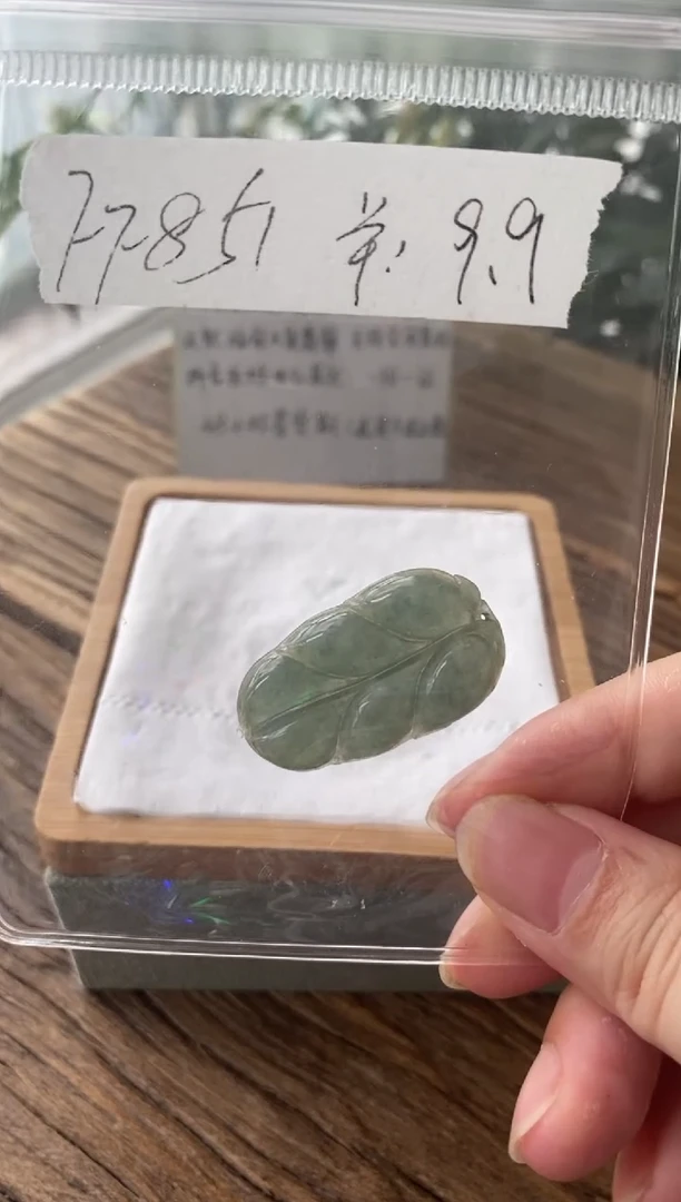 翡翠未镶嵌吊坠(不含链)FF851
