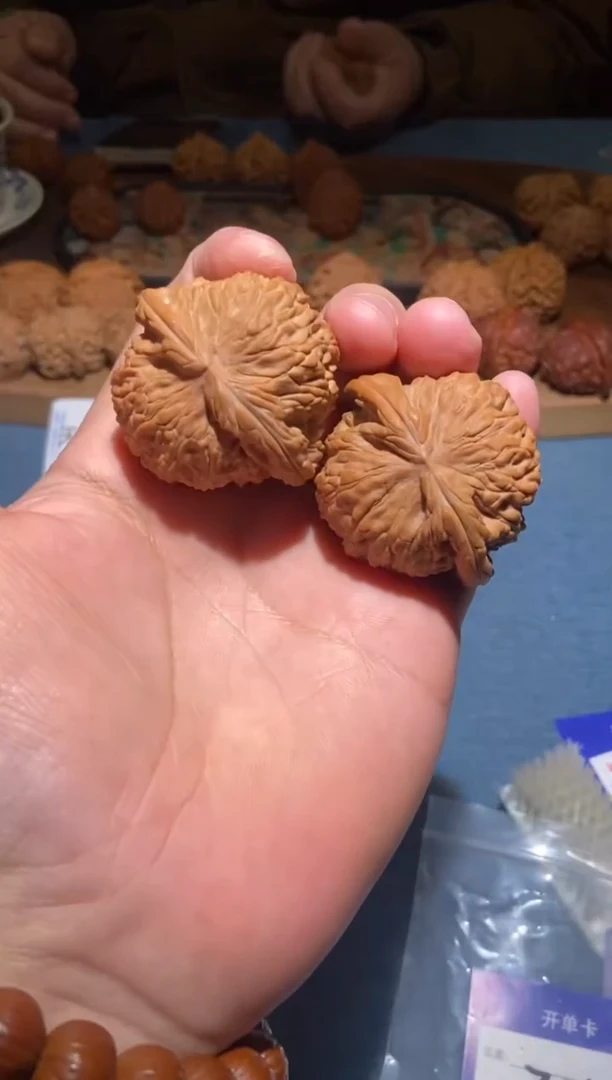 把件文玩核桃015白狮子45尺