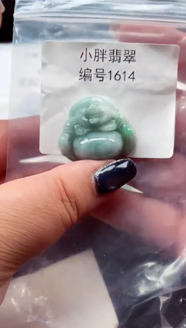 颈饰未镶嵌翡翠缅甸天然A货翡翠1614