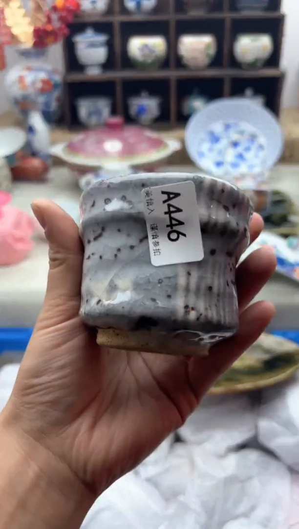 【闪购商品】碟446A..............