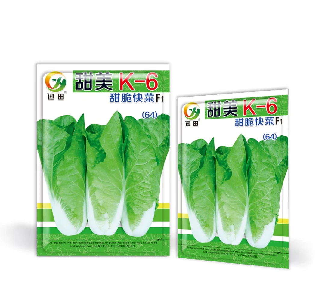 甜美甜脆四季奶油快菜种子耐热耐寒速生高产适合阳台庭院种植