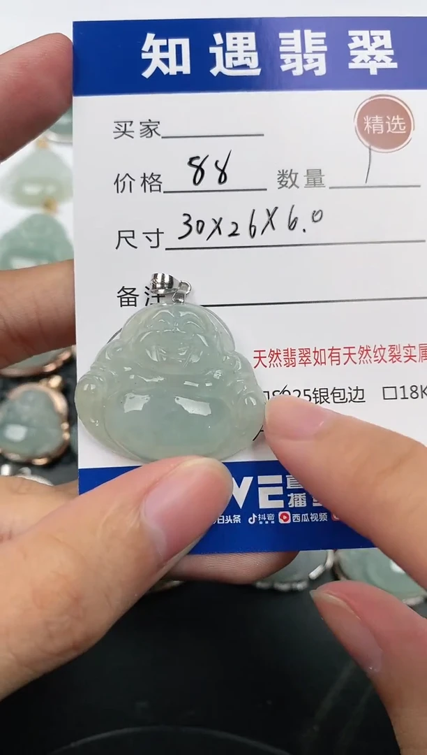 颈饰银S925镶嵌翡翠挂件