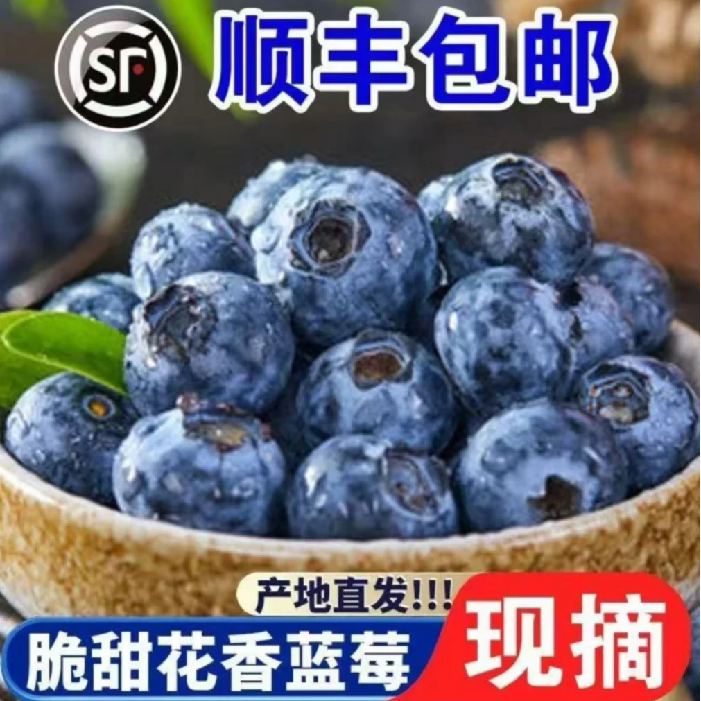 【顺丰包邮】新鲜蓝莓现摘香甜多汁孕妇宝宝水果产地直发