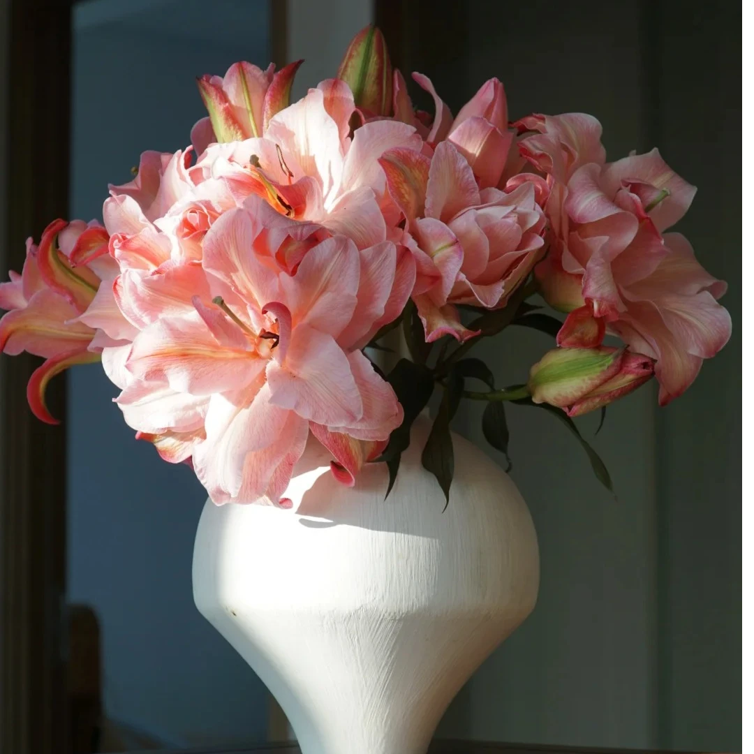 【半岛花铺】布朗尼重瓣百合任意2单或以上包邮发货鲜切花