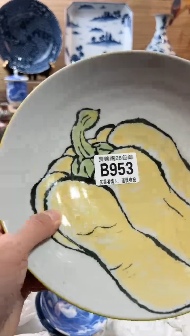 【闪购商品】瓷片当天满28米包邮B953