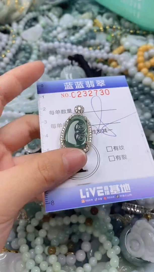 翡翠未镶嵌颈饰闪购0232730