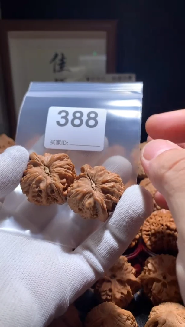 把件文玩核桃白狮子35尺别打底，影响二次销售不退不换