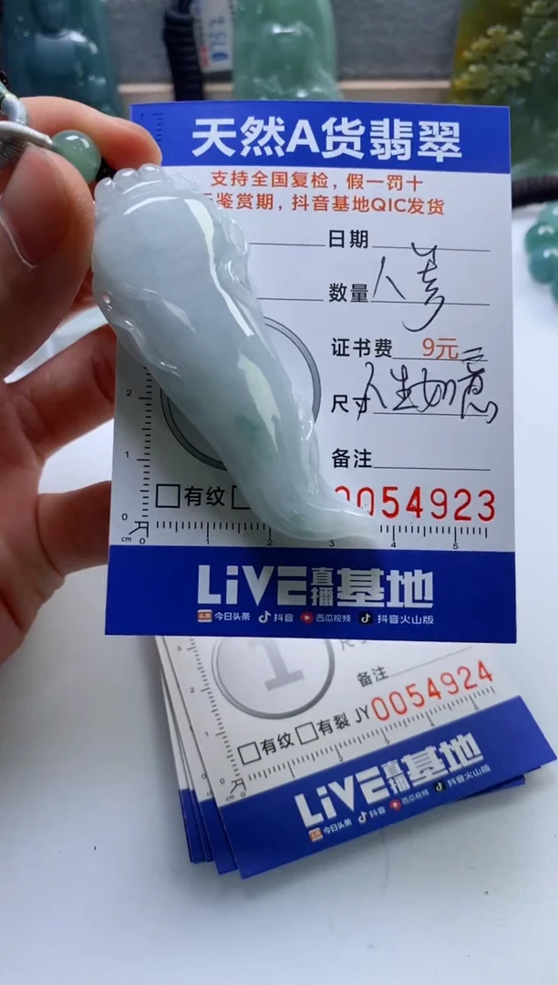 【闪购商品】翡翠挂件未镶嵌