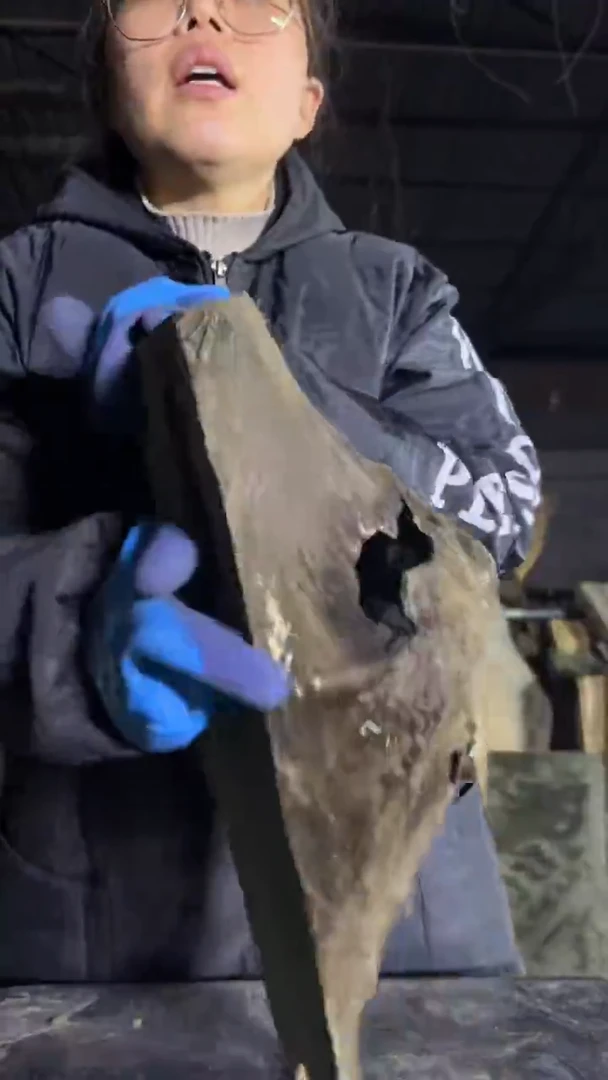 金丝楠谢*贤35金丝楠小叶桢楠原材料