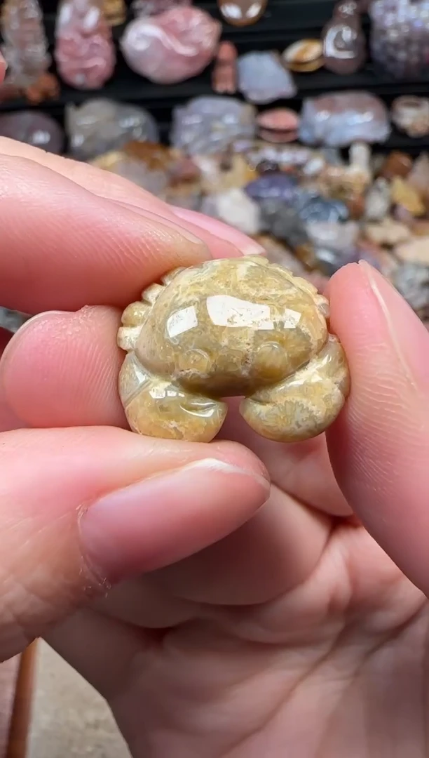 颈饰未镶嵌硅化珊瑚（珊瑚玉）848