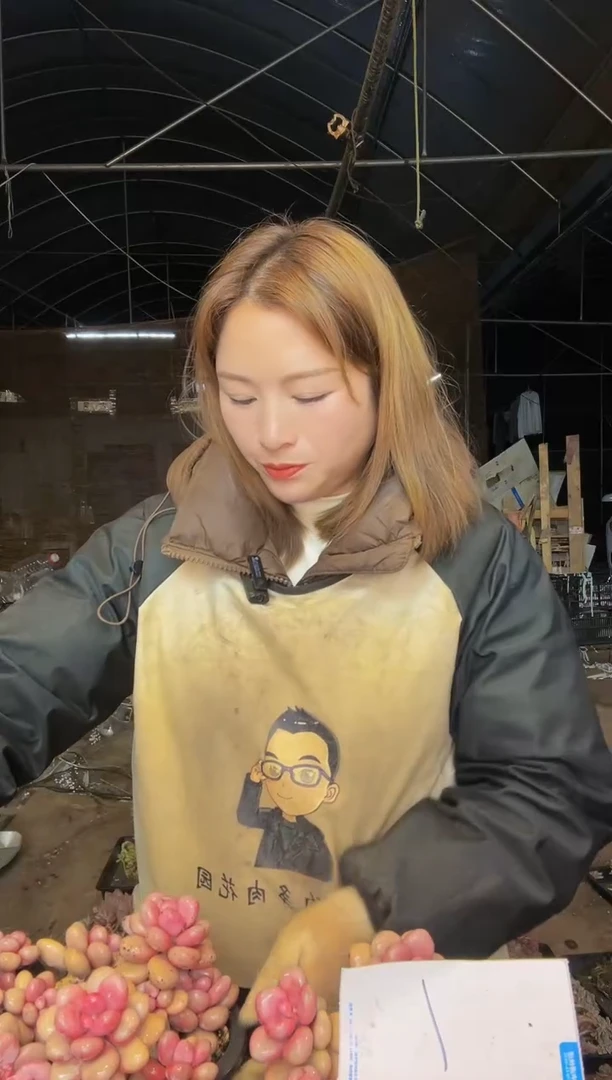 【闪购商品】桃蛋4号一物一拍包邮