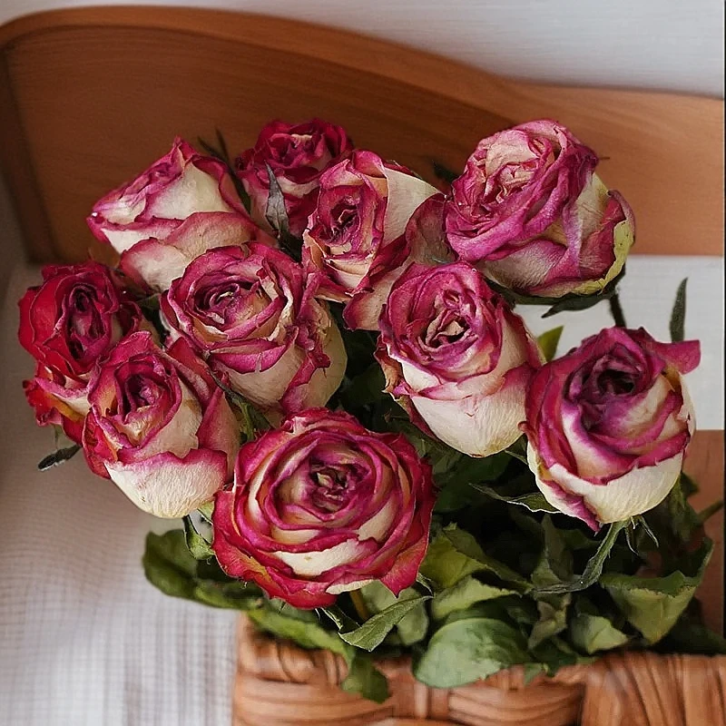 [阿畛花卉]【烟脂扣】玫瑰干花胭脂如滴丝丝农家乐广志干花小狗花束