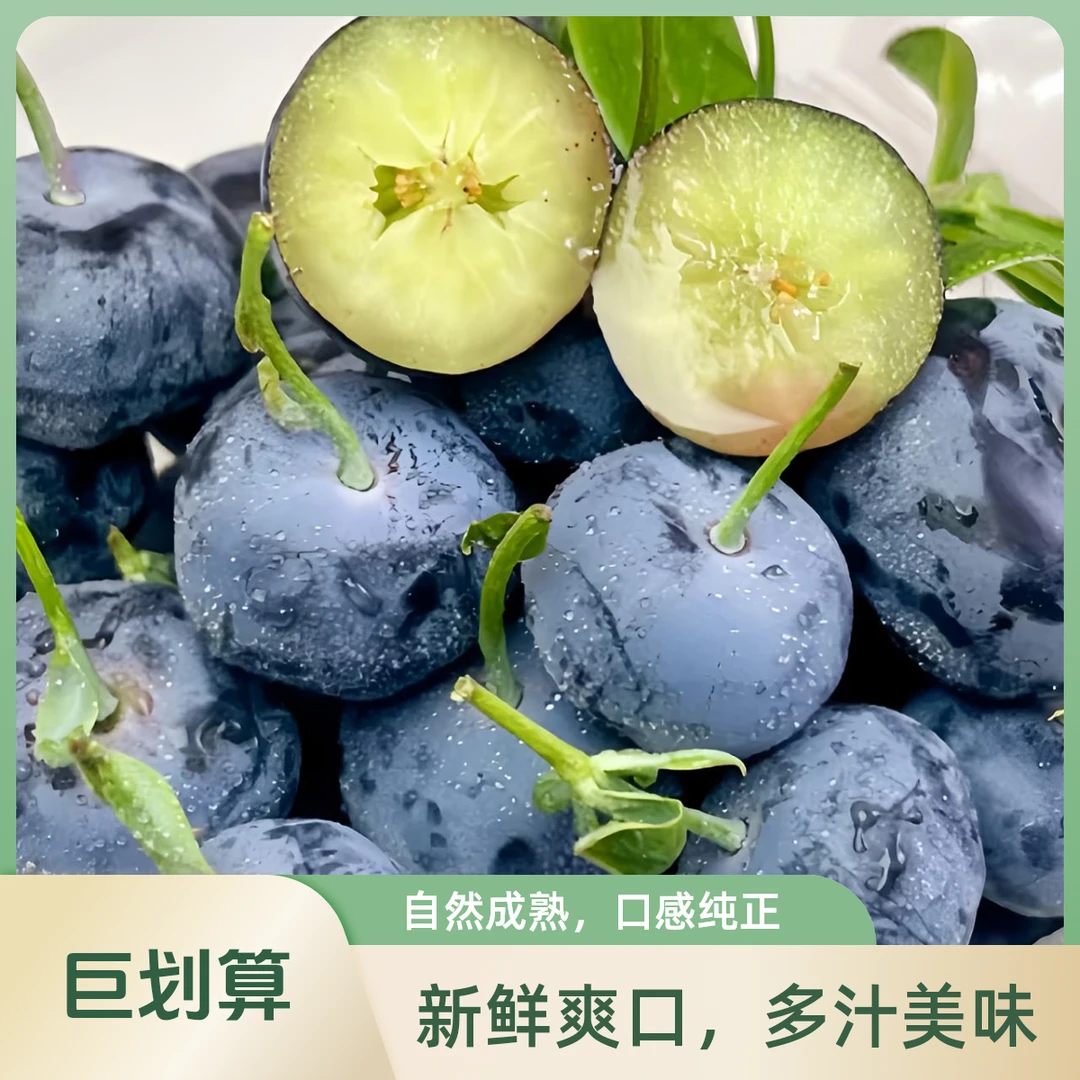 鲜丰旺精选云南高山/花香蓝莓24+果王脆甜新鲜当季水果125g/盒