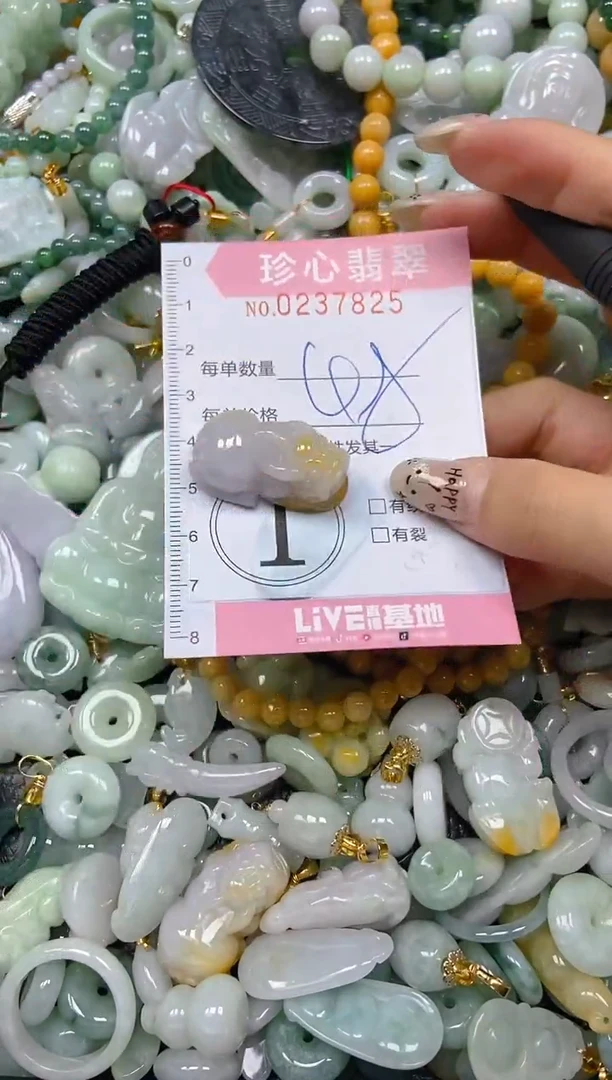翡翠未镶嵌颈饰闪购0237825
