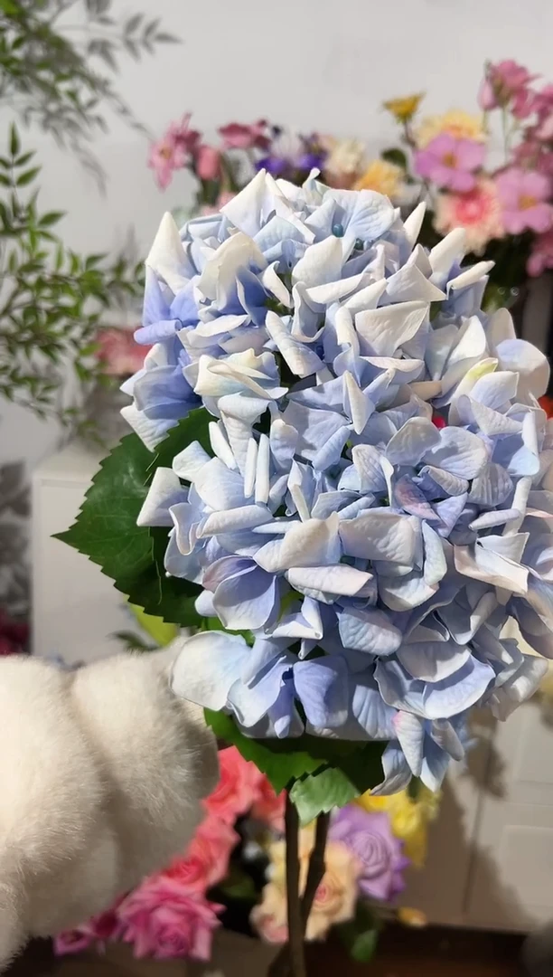 2枝蓝色手感保湿绣球