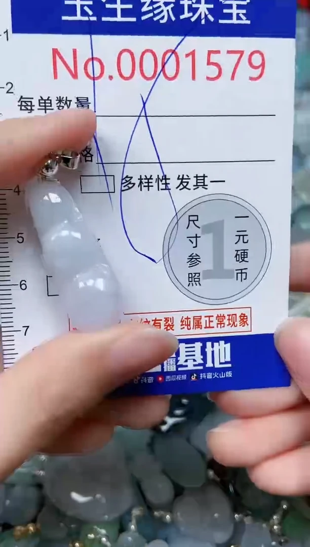 【闪购商品】翡翠颈饰未镶嵌闪购00001579