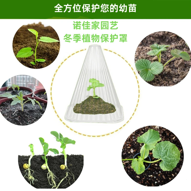 植物暖房植物罩防寒