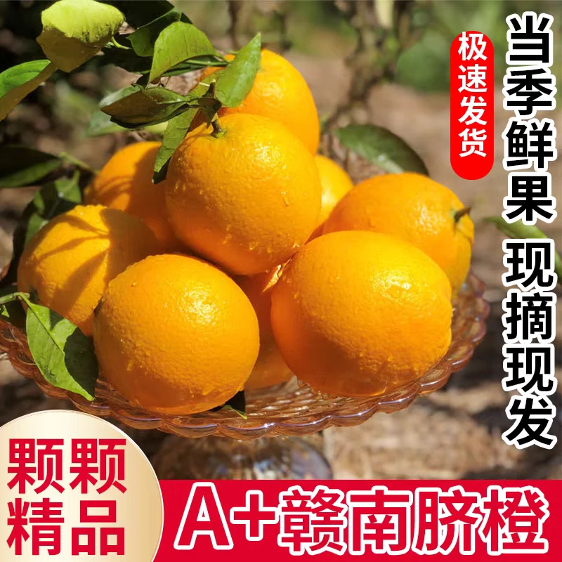 正宗江西赣南脐橙5/10/20斤当季新鲜孕妇水果香甜薄皮橙子包邮