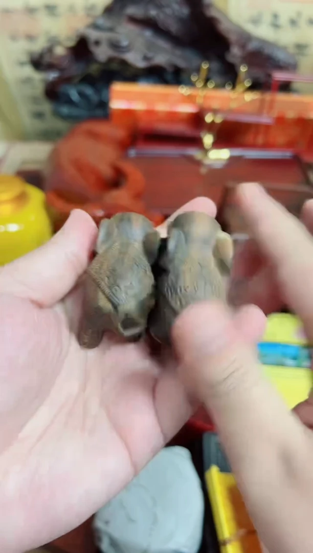 木对象直播推荐直播推荐